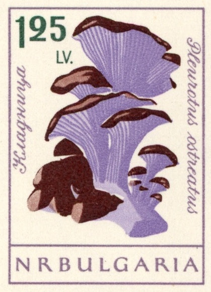 Bulgaria Butterflies Stamp Sheet