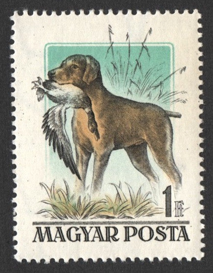 Dog Stamp store