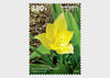 Armenia - 2024 Flora and Fauna of Armenia - Set of 4 (MNH)