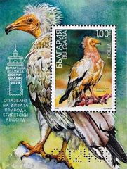 Bulgaria 2024 - Wildlife Conservation - The Egyptian Vulture SS (MNH)