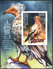 Bulgaria 2024 - Wildlife Conservation - The Egyptian Vulture Imperf SS (MNH)