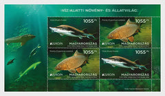 Hungary - 2024 Europa - Underwater Fauna And Flora - Miniature Sheet(MNH)