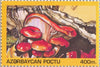 #490-493 Azerbaijan - Mushrooms (MNH)