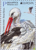 Belarus - #1139-1140 - 2019 Europa: National Birds (MNH)