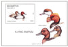 #175-176 Belarus - Birds, 2 S/S (MNH)