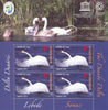 Romania - 2020 The Danube Delta Swans, 4 M/S (MNH)