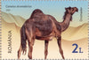 Romania - 2021 Desert Fauna, Set of 4 (MNH)